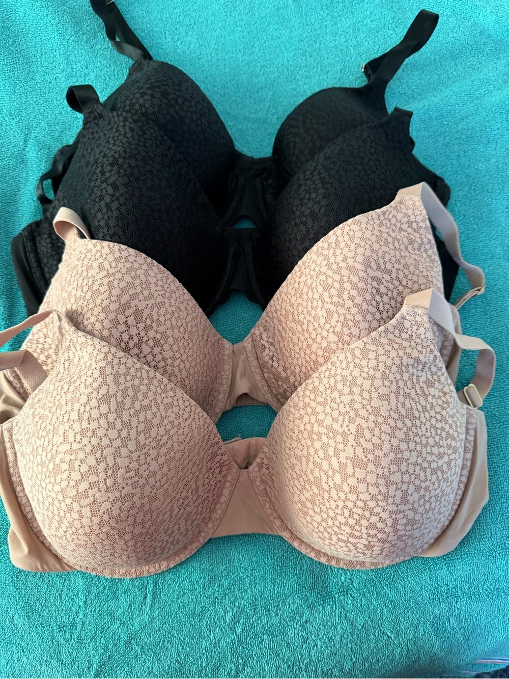 Natori Lace T-Shirt Bras in Black & Nude